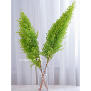 柠檬清香绿色圣诞香松鲜切枝插花水养有香味云南直发提升家居装饰