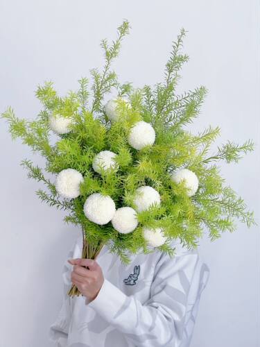 清新搭配白乒乓菊绿色千层金鲜花