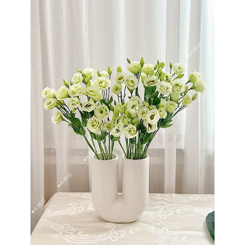 清新治愈青苹果绿色洋桔梗鲜花插花水养办公家用茶几餐桌装饰顺丰