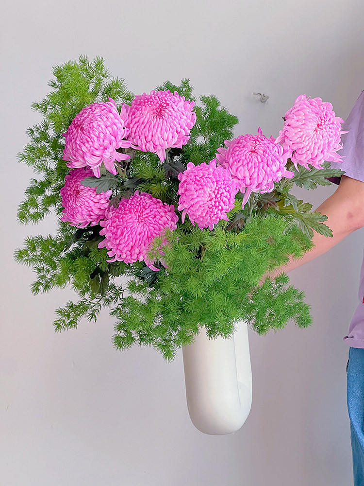 高饱和感进口玫粉色牡丹菊鲜花云南昆明直发节日送花花期长顺丰