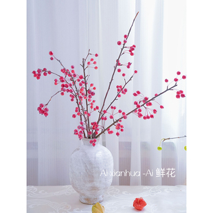 季节限定新鲜采摘樱桃红小苹果海棠果鲜切枝插花水养云南发花期长