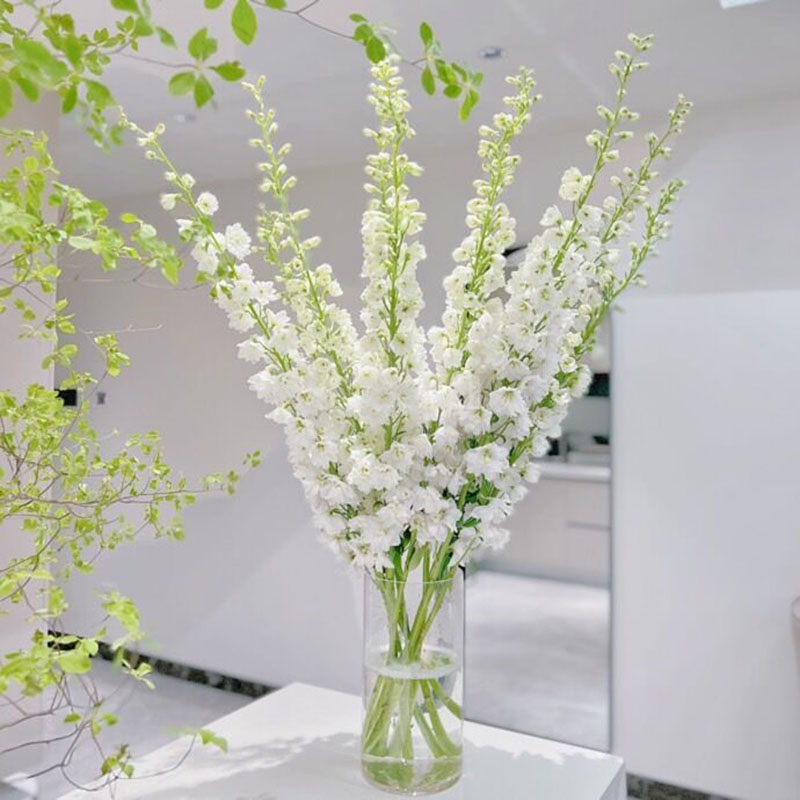 美得不可方物花瓣似飞燕