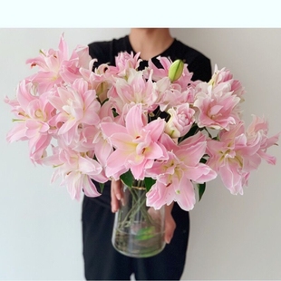 高端品质女神百合粉色重瓣百合鲜花插花鲜切花云南直发顺丰空运