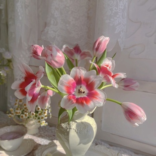 【童话里的花花】像一幅油画双色渐变郁金香鲜花家居插花水养空运