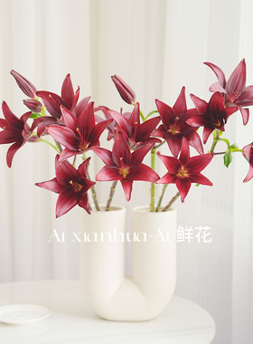 高级复古黑红色迷你百合小黑石黑色魅力亚百合鲜花家居插花花期长