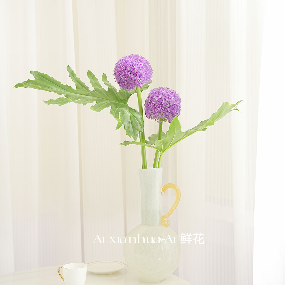 独特韵味紫高级进口大花葱鲜花家居插花水养节日送花百搭空运直发