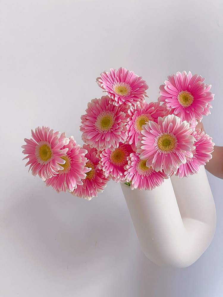 大花瓣弗朗花粉色多利扶郎花鲜花云南昆明直发插花水养花期长顺丰