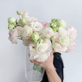 洋桔梗之神冰淇淋蛋糕洋桔梗鲜花云南直发办公家用插花水养鲜切花