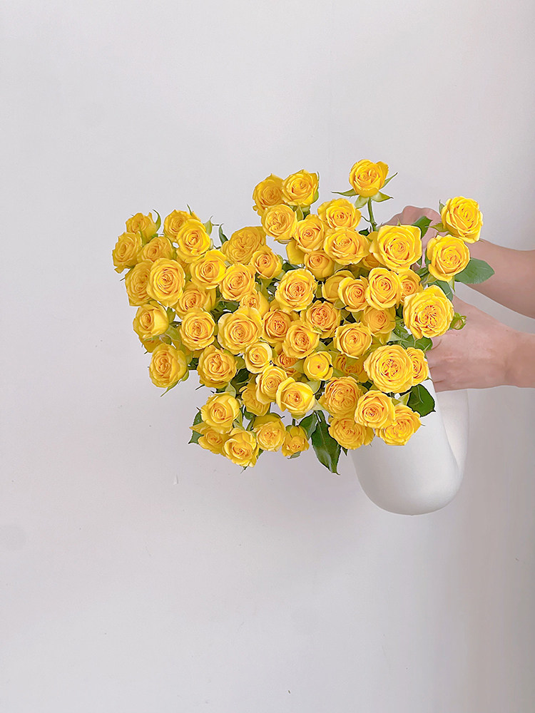 可爱朝气黄色多头玫瑰梦幻泡泡鲜花云南直发插花水养节日送花顺丰