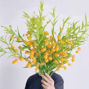 稀有小众花朵像灯笼治愈系进口宫灯百合鲜花插花水养云南直发顺丰