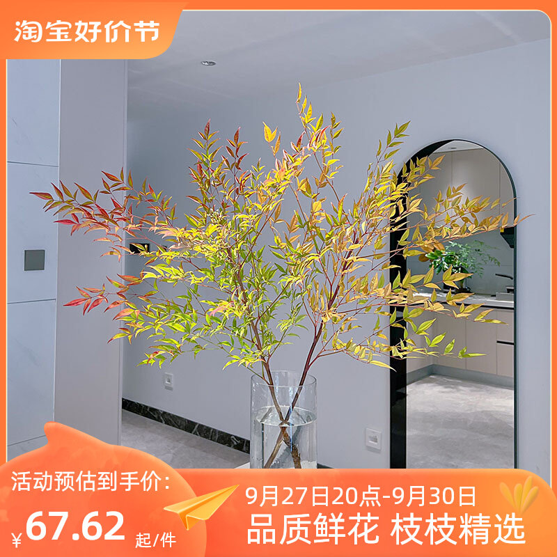 侘寂之美秋色兰天竺鲜切枝兰天竹南天竹插花水培云南斗南直发