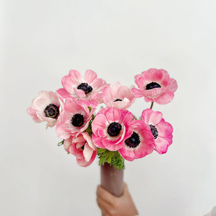 开放绝美仙气粉色银莲花鲜花家居插花水养小花型空运直发百搭直发