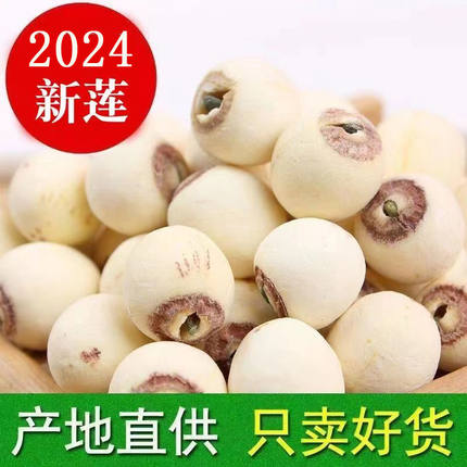 莲子有芯干货500g去芯白莲米正宗无芯特产湖南湘潭无硫磨皮带芯