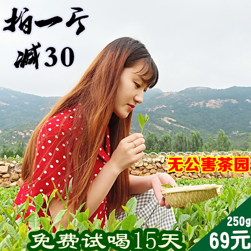 山东日照绿茶板栗香250g