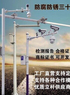 小区监控杆卡口立杆立柱杆件