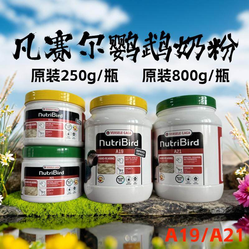 比利时鹦鹉奶粉高脂幼鸟奶粉