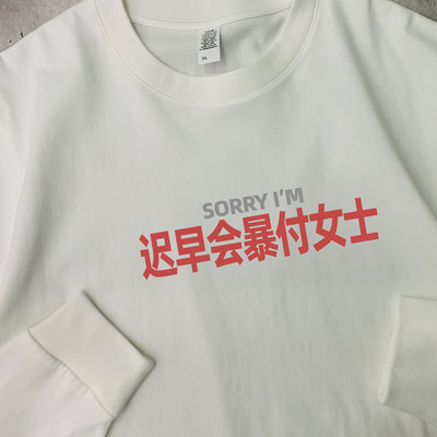 sorry迟早会爆付女士纯棉长袖T恤姓氏谐音梗文字男女同款打底上衣