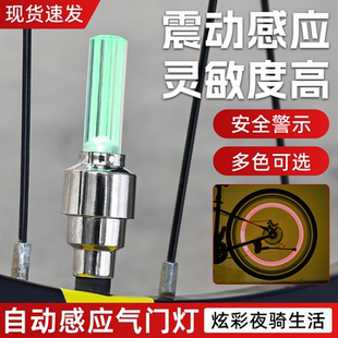 电动车震动感应气嘴灯山地自行车夜骑风火轮闪光灯汽车轮毂装饰灯