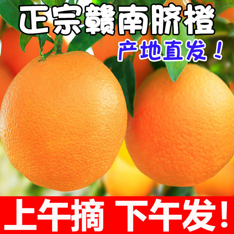 正宗赣南脐橙产地直发新鲜现摘孕妇水果10斤20整箱甜橙子时令当季