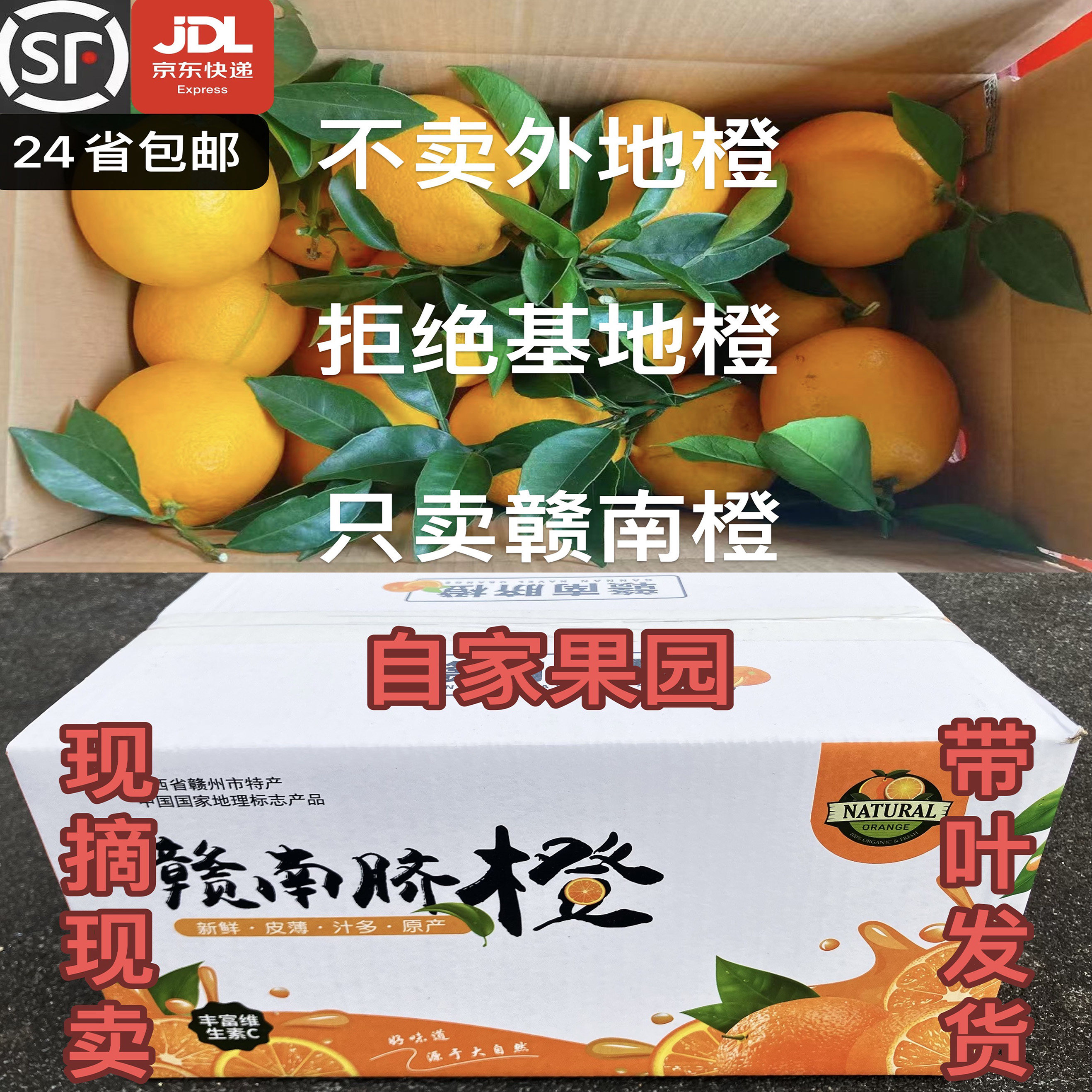 正宗赣南脐橙产地直发江西赣州新鲜橙子特级薄皮水果10斤装20应季,水产肉类/新鲜蔬果/熟食,橙,淘宝优惠券,粉丝福利购,淘宝优惠卷