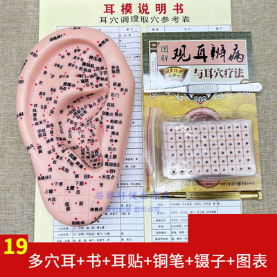 19耳模型探针王不留行压豆贴国标