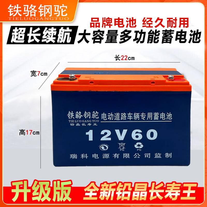 12V20安60安大容量铅酸电池UPS电源户外摆摊音响12伏骆驼蓄电瓶