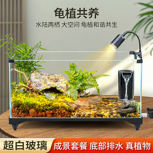 德国乌龟饲养缸生态造景家用玻璃缸小型别墅水陆两用专用缸子鱼缸