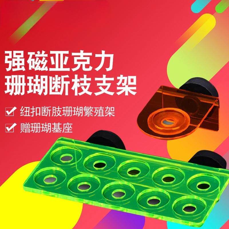 亚克力珊瑚断肢吸盘支架荧光红