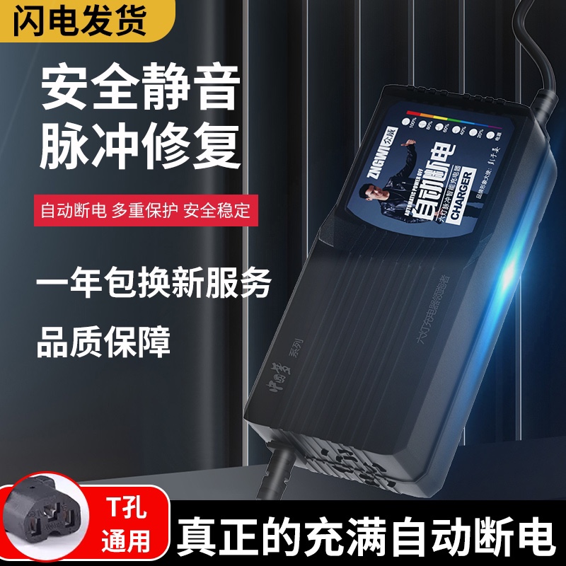 自动断电电动车电瓶车大功率充电器48V60V72V20AH两轮三轮车通用