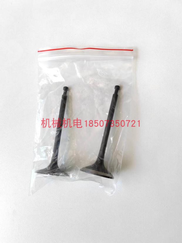 大疆D9000i/T30进排气门