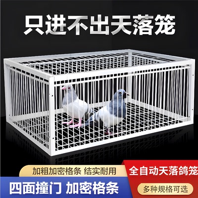 鸽子神器鸽笼天落笼只进不出自动