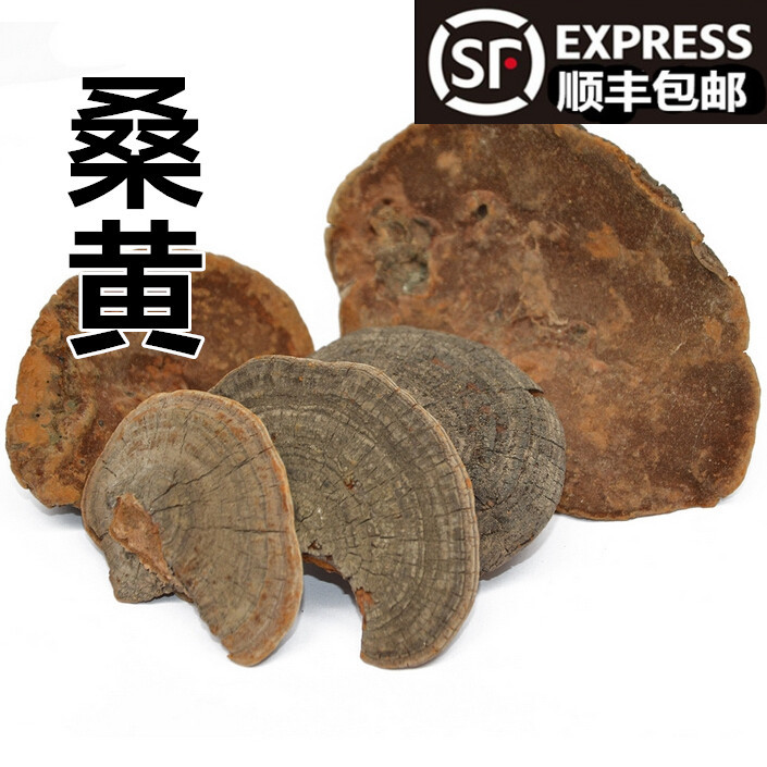 中药材 桑黄 桑上寄生 树舌 桑上寄生 树鸡 50克