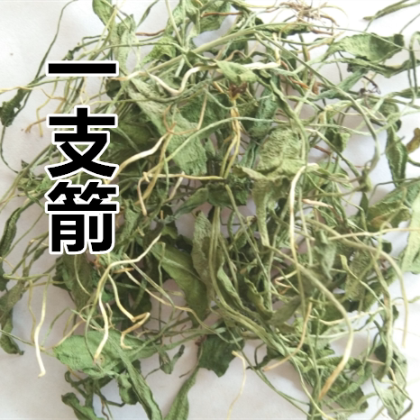 中药材 一枝箭 一支箭 青藤 蛇咬子 50克