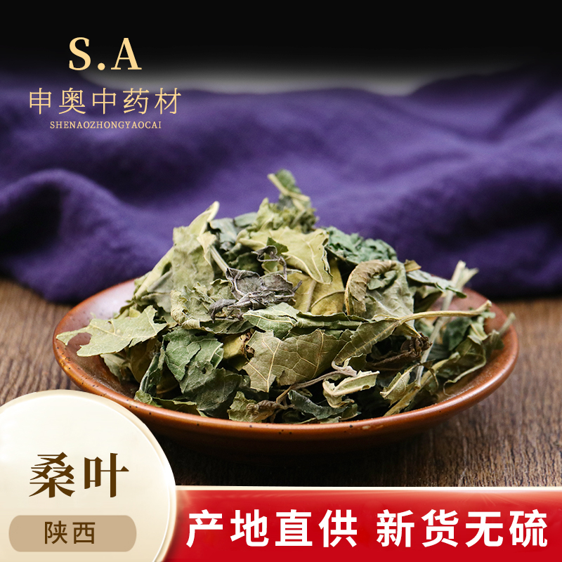 干桑叶清热养生茶散装中药材