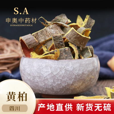关黄柏川黄柏檗木檗皮黄檗新