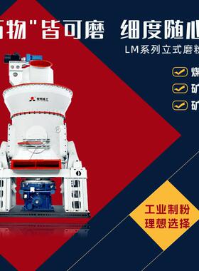 矿粉立式磨型号 S95炉矿粉石膏立磨机 热销天津的立式辊磨机