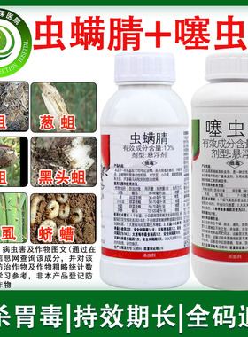 虫螨腈噻虫胺 大蒜大葱韭菜地蛆黑头蛆稻飞虱地下害虫农药杀虫剂