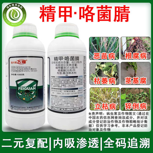 放大镜飞灌精甲霜灵咯菌腈根腐病