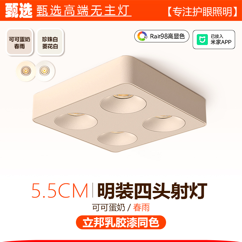 小红书推荐乳胶漆同色明装智能灯