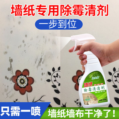 墙纸除霉剂发霉修复去除霉污点黑