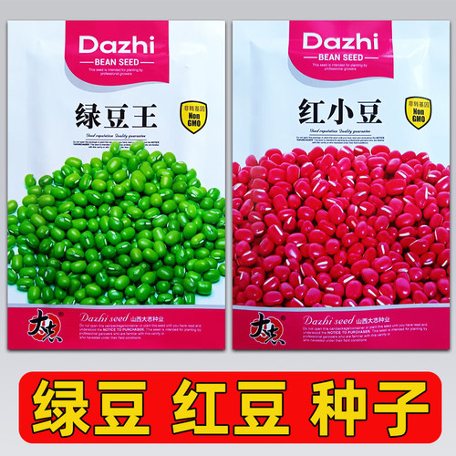 绿豆红豆种子春夏播种菜园盆栽早熟耐热高产养生绿红小豆蔬菜种籽