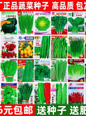 四季蔬菜种子大全家庭菜园青菜萝卜白菜夏秋耐热瓜果蔬菜种籽种孑