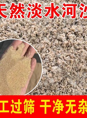 工地沙子50斤批发河沙细沙种植养花沙多肉鱼缸底沙建筑用沙粗河砂