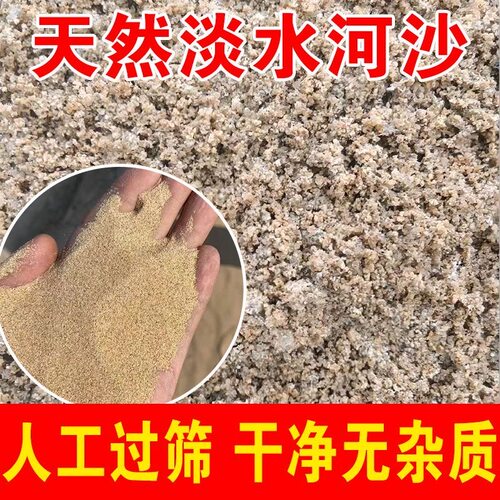 工地沙子50斤批发河沙细沙种植养花沙多肉鱼缸底沙建筑用沙粗河砂