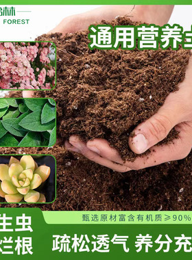 营养土养花通用泥炭专用土种花种菜土壤多肉种植土育苗肥有机花泥
