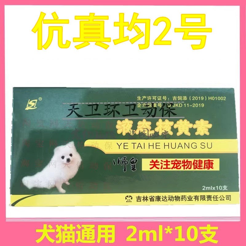 宠物狗猫皮肤真菌猫癣狗癣皮癣