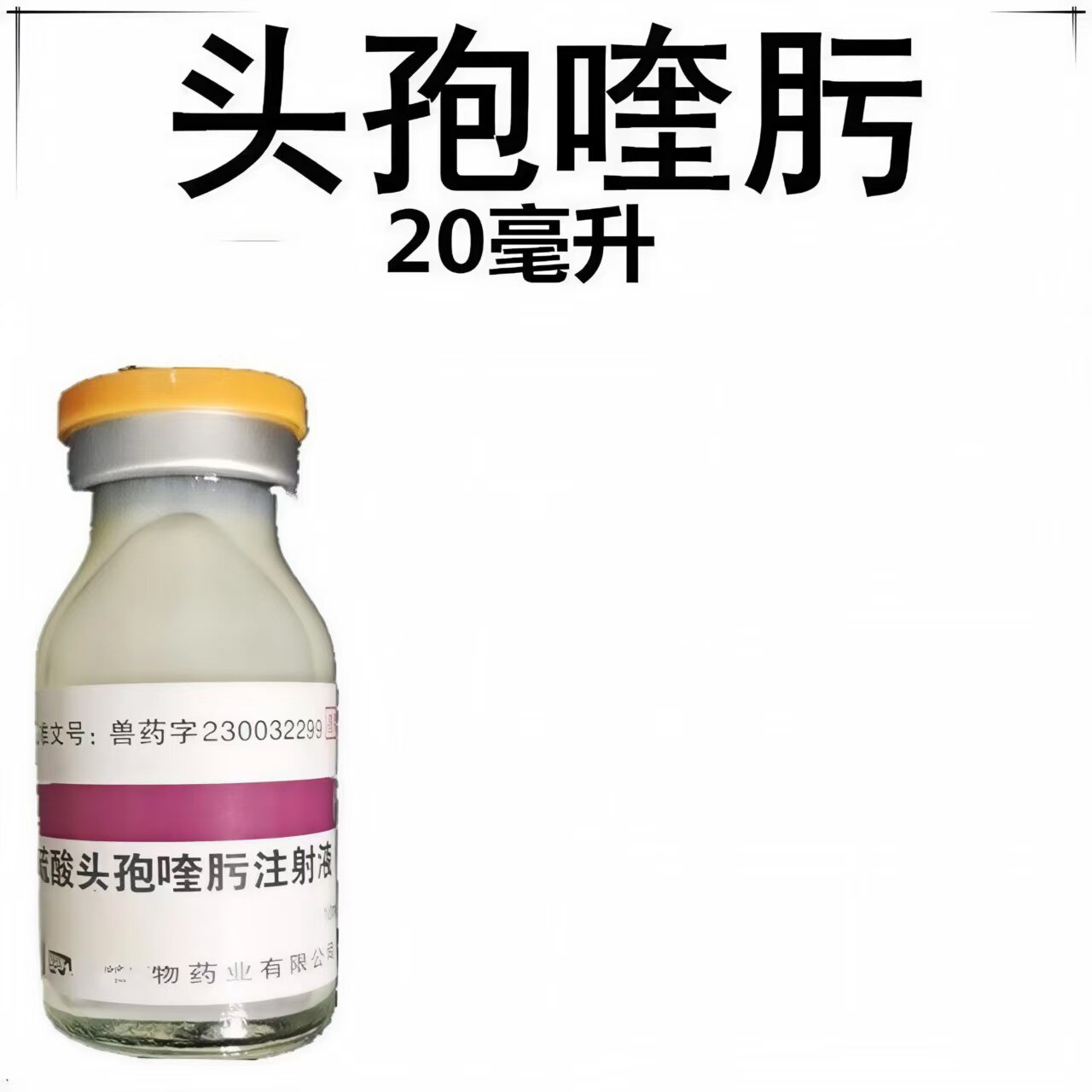 头孢喹肟针剂细菌球菌感染葡萄球菌杆菌感染兽用动物用打针处方药