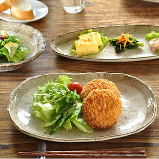 精致拉面碗咖啡杯不规则寿司长盘 日本进口粗陶食品陶瓷盘子碗日式