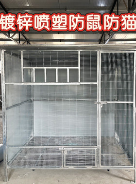 （定制组装鸽子笼)鸽笼鸽棚鸽舍信鸽大型鸟笼养殖专用笼室外户外