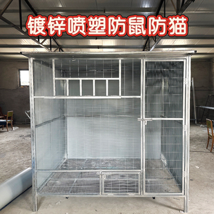 （定制组装鸽子笼)鸽笼鸽棚鸽舍信鸽大型鸟笼养殖专用笼室外户外